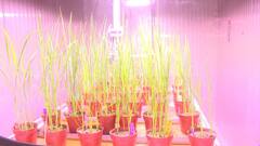 PM Modi in Varanasi | Scientists of SpeedBreed Centre share the MAIN purpose of its establishment