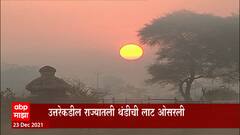 Maharashtra Winter : राज्यातील गुलाबी थंडी गायब होणार? उत्तरेकडील थंडीची लाट ओसरली