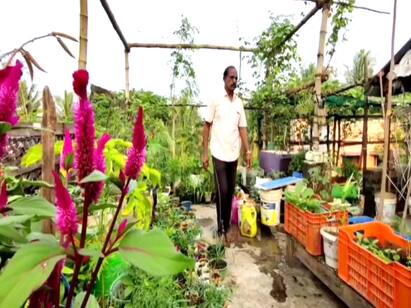 Retired sub Inspector of Police who has done the crop without spending a penny பைசா செலவின்றி மாடித்தோட்டத்தில் மகசூல் பெருக்கும் ஓய்வு பெற்ற காவலர்