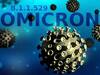 வெளிநாட்டில் இருந்து தஞ்சைக்கு வந்த இளைஞருக்கு ஒமிக்ரான் தொற்றா?
