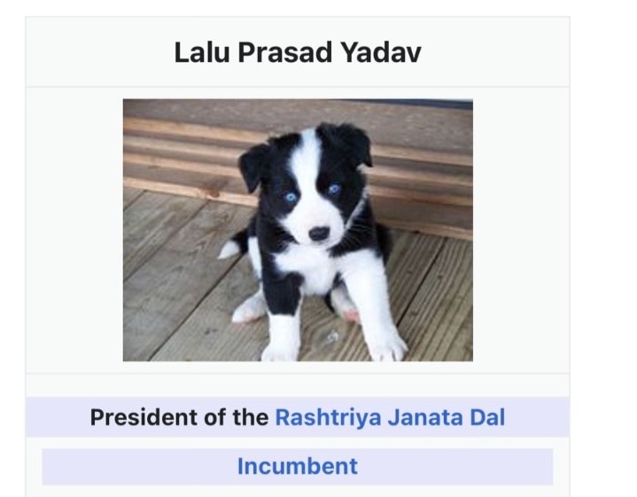 Lalu Yadav Wikipedia Page: लालू प्रसाद यादव के विकिपीडिया पेज से छेड़छाड़, जानवर की तस्वीर लगाई गई