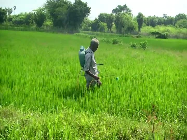 Jharkhand government has recently announced 'Jharkhand Fasal Rahat Yojana' to cover the risk of damages caused to farmers due to environmental factors. Jharkhand News: झारखंड सरकार ने शुरु की ‘झारखंड फसल राहत योजना’, जानिए इस योजना से जुड़ी हर जानकारी