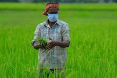 PM Kisan Scheme: 8 दिन बाद पीएम मोदी करोड़ों किसानों को देंगे खुशखबरी! खाते में आएंगे पूरे 4000 रुपये, जल्दी से चेक कर लें लिस्ट