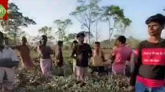 Jalpaiguri: ছোট চা বাগান এলাকায় চিতাবাঘের আতঙ্ক, খাঁচা পাতল বনকর্মীরা| Bangla News