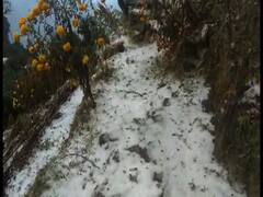 Kalimpong Snowfall : দেখুন কীভাবে বরফের চাদরে ঢেকেছে কালিম্পং