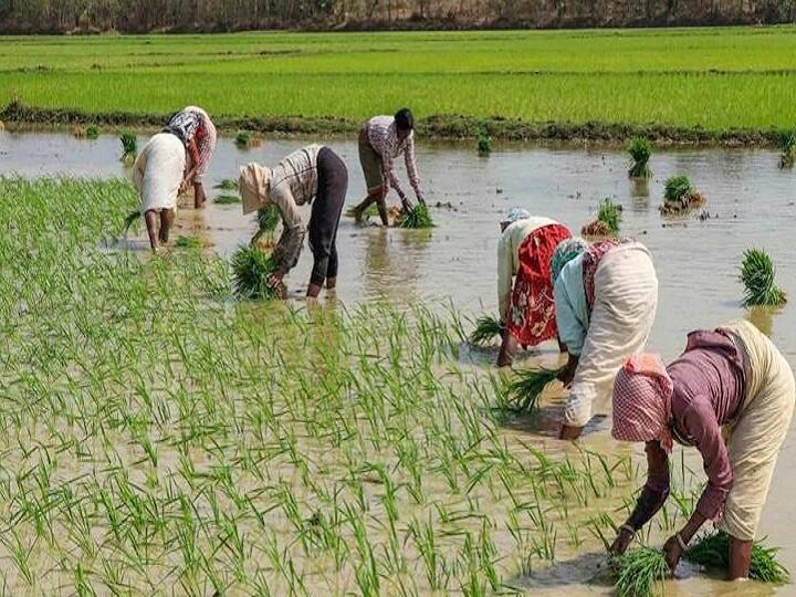 National Farmers Day jharkhand cm hemant soren and former cm babulal marandi remember chaudhary charan singh National Farmers Day:  झारखंड के सीएम हेमंत सोरेन और बालूलाल मरांडी ने पूर्व प्रधानमंत्री चौधरी चरण सिंह को किया नमन