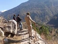Uttarkashi: भालू के आतंक से क्षेत्र में फैली दहशत, एक दर्जन से ज्यादा लोगों को किया जख्मी