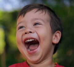 Top@5 Gujarati Jokes : પત્ની- હું મરી જાઉં તો તમે બીજા લગ્ન કરો, પતિનો જવાબ સાંભળી....