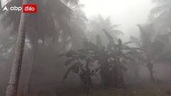 తూర్పుగోదావరి జిల్లా ను కమ్ముకున్న మంచు తెరలు