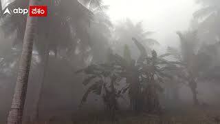 తూర్పుగోదావరి జిల్లా ను కమ్ముకున్న మంచు తెరలు