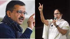 TMC Goa: আম আদমি পার্টি vs তৃণমূল, গোয়ার রাজনীতিতে তৃণমূলের গুরুত্ব নিয়েই প্রশ্ন কেজরিওয়ালের | Bangla News