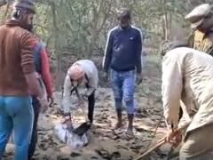 Gorakhpur News: गोरखपुर में आबकारी विभाग की दबिश, अवैध शराब के बड़े ठिकानों का भंडाफोड़