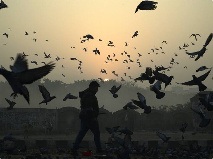 पृथ्वी विज्ञान मंत्रालय की वायु गुणवत्ता पूर्वानुमान एजेंसी ‘सफर’ ने कहा कि हवा की कम गति और उच्च आर्द्रता ऐसी स्थितियों के लिए जिम्मेदार है तथा ऐसी ही स्थिति से शुक्रवार को एक्यूआई और बढ़ेगी. गुरुवार को शहर का 24 घंटे का औसत वायु गुणवत्ता सूचकांक (एक्यूआई) शाम चार बजे 423 दर्ज किया गया जो बुधवार को 407 था.