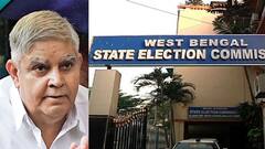 Jagdeep Dhankhar: বকেয়া পুরভোটের পরিকল্পনা জানাতেই নির্বাচন কমিশনারকে তলব রাজ্যপালের | Bangla News