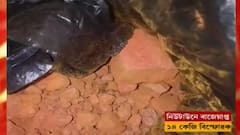 Kolkata: বড়দিনের আগে রাজারহাটে উদ্ধার ১৩ কেজি বিস্ফোরক, গ্রেফতার দুই | Bangla News