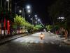 Noida: Reduced Night Curfew Hours From Tonight. Restaurants, Cinema Halls Reopen | All About It
