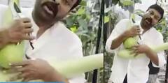 Chiranjeevi Farming: ఇంటి పెరట్లో ఆనపకాయలను పెంచిన చిరంజీవి