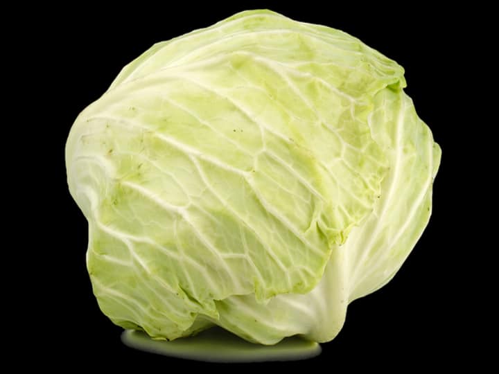 People with these health problems should not eat cabbage at all Cabbage: ఈ ఆరోగ్య సమస్యలు ఉన్నవారు క్యాబేజీని కొంచెం కూడా తినకూడదు