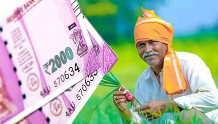 PM kisan: More than 2 crore farmers will not get 2000 rupees for 10th instalment, know the reason PM kisan: 2 કરોડથી વધુ ખેડૂતોને 10મા હપ્તાના 2000 રૂપિયા નહીં મળે, જાણો કારણ