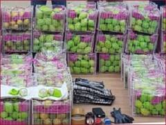 'नींबू' में छिपाकर ले रहे जा रहे थे 1 अरब से ज्यादा की नशीली गोलियां, पुलिस ने किया जब्त