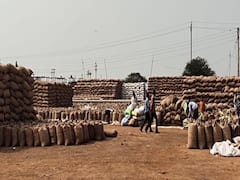 Chhattisgarh News: किसानों से 23 दिन में 40 लाख मीट्रिक टन धान खरीदी की गई, जारी किए गए 7251.72 करोड़ रुपये