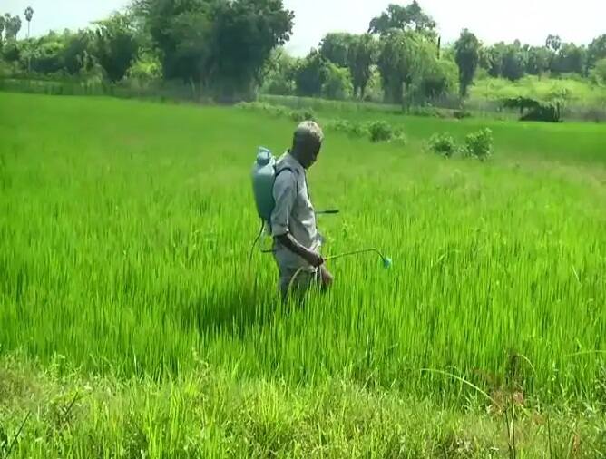 Punjab CM Charanjit Singh Channi announces loan waiver upto Rs 2 lakh for farmers દેશના ક્યા રાજ્યમાં ખેડૂતોના દેવા કરાયા માફ, બે લાખ સુધીની લોન નહી ભરવી પડે