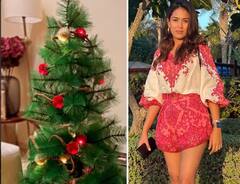 Mira Rajput Christmas 2021: क्रिसमस से पहले ही गायब हुआ Shahid Kapoor की पत्नी मीरा राजपूत का क्रिसमस ट्री, आखिरी वक्त में ऐसे की तैयारी
