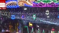 Christmas 2021: আলোক সজ্জায় সেজে উঠেছে পার্ক স্ট্রিট । Bangla News