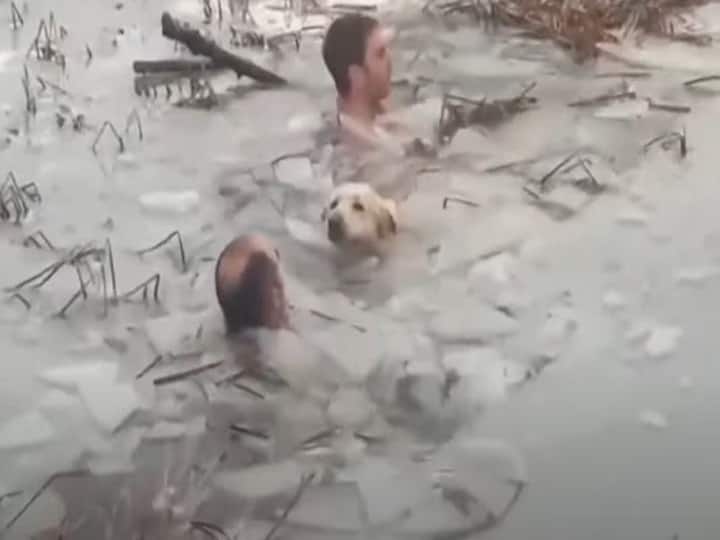 Watch Policemen rescued a dog trapped in icy water watching the video and said it is called humanity Watch: बर्फीले पानी में फंसे कुत्ते को पुलिसकर्मियों ने ऐसे बचाया, वीडियो को देख बोले- इसे कहते हैं इंसानियत