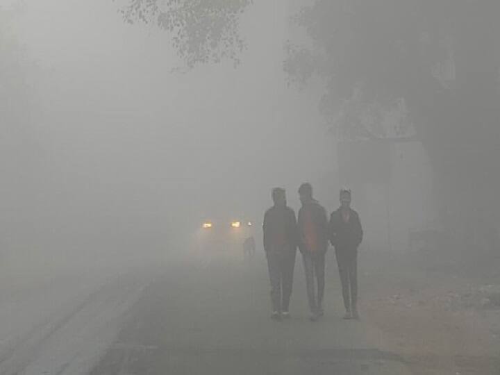 Jharkhand Weather Update cold wave continents, rain may increase problem for people  Jharkhand Cold Weather: झारखंड में शीतलहर के बीच बारिश की संभावना, रहें सतर्क...भारी पड़ सकती है लापरवाही