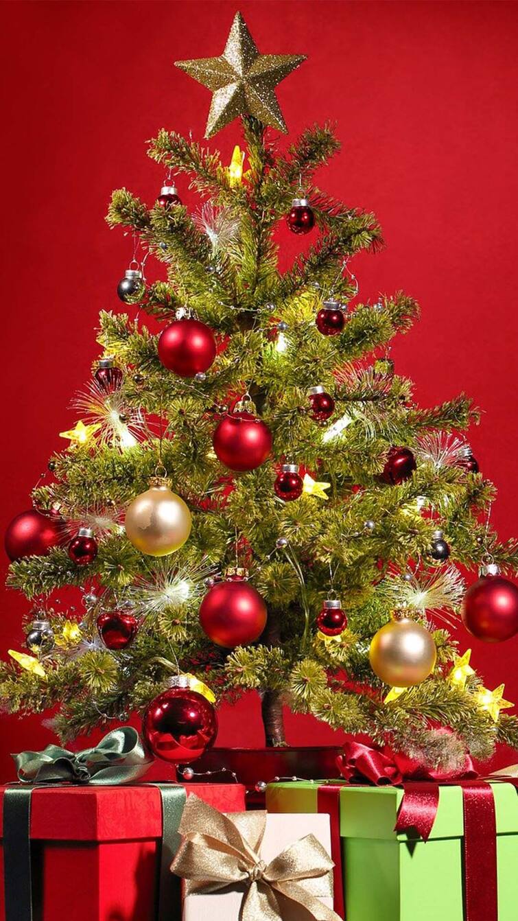 Weird Christmas Traditions: दुनियाभर में अजीबो-गरीब अंदाज में मनाया जाता है क्रिसमस, जानिए क्या है इसका रिवाज 