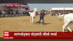 Nandurbar: सारंगखेड्यात घोड्यांची सौंदर्य स्पर्धा, लाखोंची बोली ABP Majha
