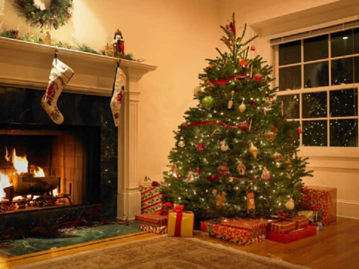 Merry Christmas 2021 | What Is The Story & Significance Behind The Christmas Tree Merry Christmas 2021 Interesting Facts History of Xmas Tree Merry Christmas 2021 | What Is The Story & Significance Behind The Christmas Tree