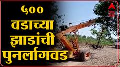 Indapur: संत तुकाराम महाराज राष्ट्रीय महामार्गाच्या रुंदीकरणात वृक्षतोड ABP Majha