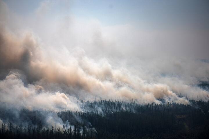 The summer forest fires in Russia were the worst in its modern history. Over 18.16m hectares of forest was destroyed in the 2021 fire season and smoke from it reached even the North Pole. While many other countries, the US and Greece for example, witnessed wildfires this year, it is claimed that Russia's forest fires dwarfed them all. (File Photo/ Getty)