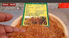 Sangali: शिराळात तांदूळ महोत्सवाचं आयोजन, कृषी विभागाचा खास पुढाकार ABP Majha