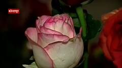 Kolhapur: पुष्प प्रेमींसाठी खास पर्वणी, कृषी विद्यापीठात प्रदर्शन ABP Majha