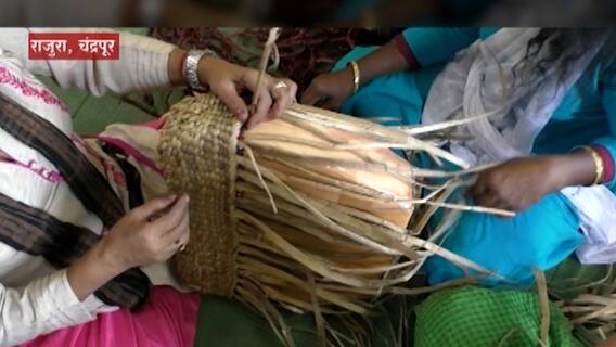 Chandrapur: घातक जलकुंभीपासून सुंदर वस्तूंची निर्मिती, 'विड टू वेल्थ' प्रकल्प ABP Majha