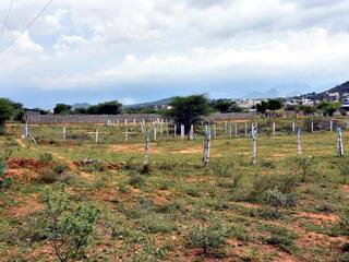 182 ஏக்கர் அரசு நிலம்  அபகரிக்கப்பட்ட விவகாரம் - துணை ஆட்சியர், RDO உட்பட 14 பேர் மீது வழக்கு பதிவு