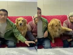 Watch: टीवी के रिमोट के लिए लड़ रहे थे मां-बेटे, फिर कुत्ते ने इस तरह किया 'इंसाफ'!