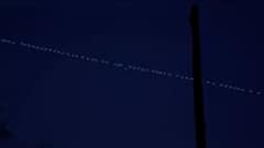 Ratnagiri: रत्नागिरीच्या आकाशात दिसलेल्या तबकडीची सोशल मिडियावर जोरदार चर्चा ABP Majha