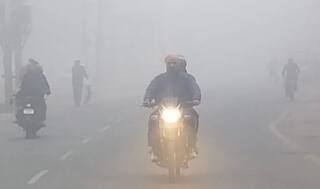 Weather Alert: ਦਿੱਲੀ NCR ਸਮੇਤ ਪੰਜਾਬ-ਹਰਿਆਣਾ ਕੜਾਕੇ ਦੀ ਠੰਢ ਨਾਲ ਕੰਬੇ, IMD ਵਲੋਂ 5 ਤੋਂ 7 ਜਨਵਰੀ ਤੱਕ ਹਲਕੀ ਬਾਰਿਸ਼ ਦਾ ਅਲਰਟ ਜਾਰੀ