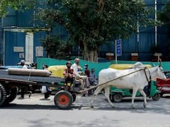 Flashback 2021: ফিরে দেখা বিশ্বজুড়ে ২০২১-এর কিছু অবিস্মরণীয় মুহূর্ত