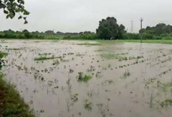 5 days rain forecast in Kutch ગુજરાતના આ વિસ્તારના ખેડૂતો માટે માઠા સમાચાર,  હવામાન વિભાગે 5 દિવસ માવઠાની કરી આગાહી