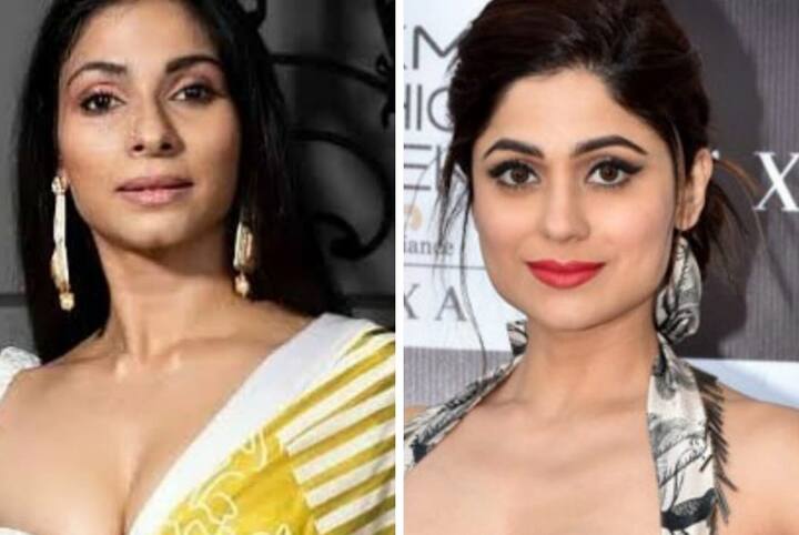 Single Bollywood  celebs:  કહેવાય છે કે એ લોકો ખૂબ જ નસીબદાર હોય છે જેમને  જિંદગીમાં તો પ્રમ મળી જાય છે  કારણ કે સાચો પ્રેમ દરેકના નસીબમાં નથી હોતો. ખાસ કરીને ગ્લેમરની દુનિયા એવી  બોલિવૂડ ઈન્ડસ્ટ્રીમાં એવા સ્ટાર્સની લાંબી યાદી છે, જેમનું ફિલ્મી કરિયર સફળ રહ્યું, પરંતુ પ્રેમના મામલે તેમને નિષ્ફળતા જ મળી.