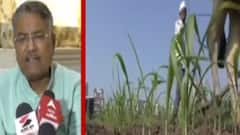 રાજ્ય સરકાર લાવશે નવી એગ્રો પોલિસી, શેનો શેનો કરાશે સમાવેશ?, જુઓ ગુજરાતી ન્યૂઝ