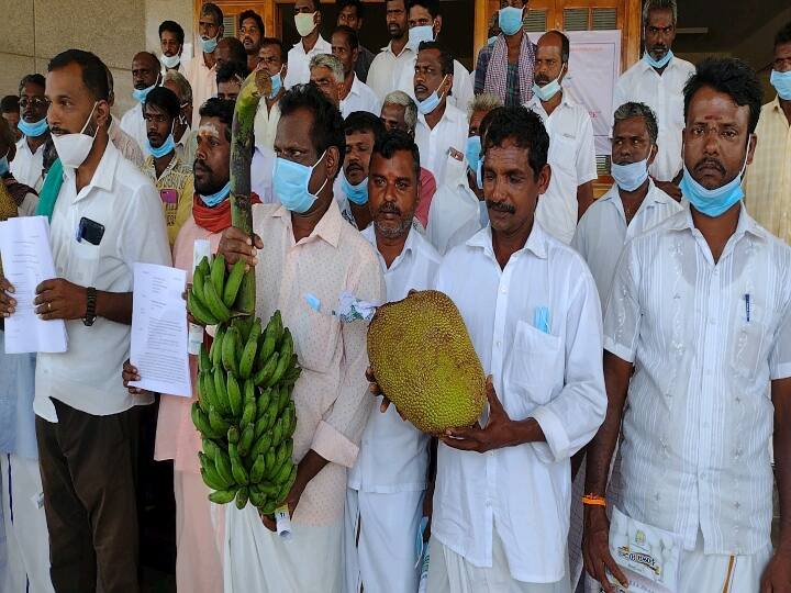 Cuddalore: Farmers who came to the Collector's Office to lodge a complaint with bananas and jackfruits வாழைத்தார், பலா பழங்களுடன் ஆட்சியர் அலுவலகத்தில் புகார் அளிக்க வந்த விவசாயிகள்