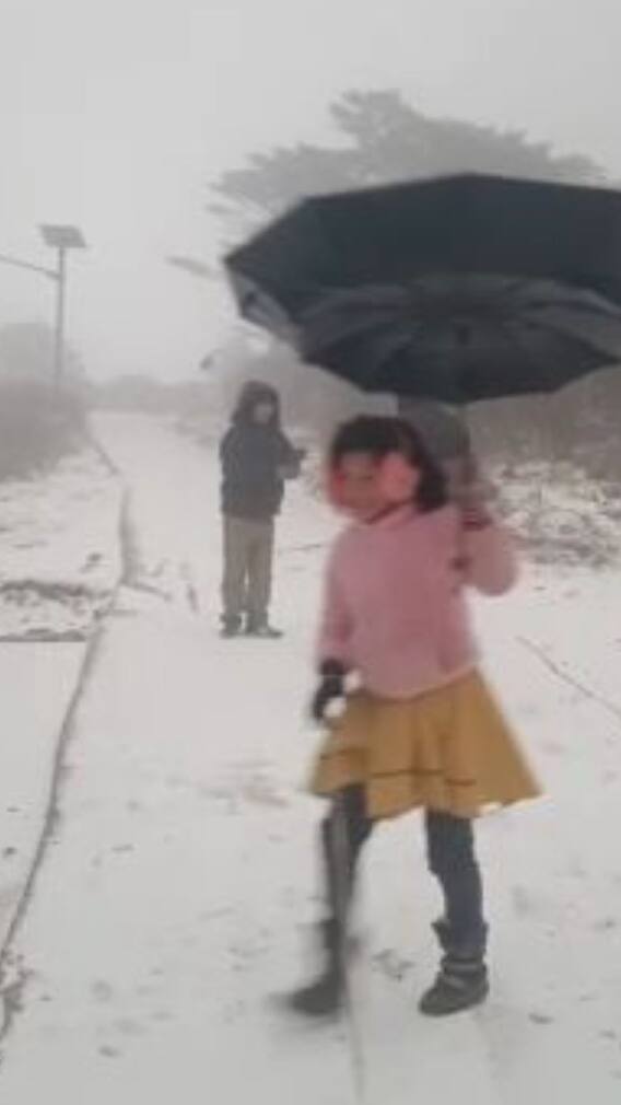 বড়দিনে মরসুমের প্রথম তুষারপাত দার্জিলিংয়ে