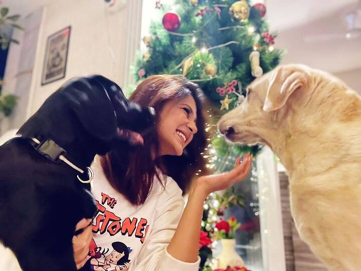 'बेहद' शो फेम एक्ट्रेस जेनिफर विंगेट (Jennifer Winget) टीवी की जानी मानी सेलेब्स हैं. इस खास मौके पर उन्होंने अपने घर में खूबसूरत सजावट की.