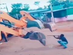 Watch: शख्स ने JCB मशीनों से कराया शानदार 'नागिन डांस', वीडियो खूब हो रहा वायरल